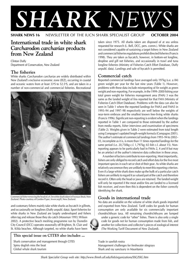 Unleash the Power of the Admiral Shark at this UK-Favourite Casino